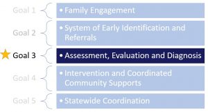 Goal 3 - assessment, evaluation & diagnosis