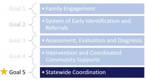 Goal 5 focus - statewide coordination